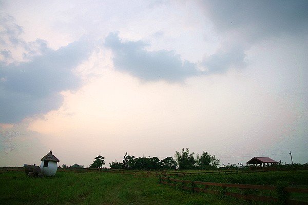 IMG_6950.JPG