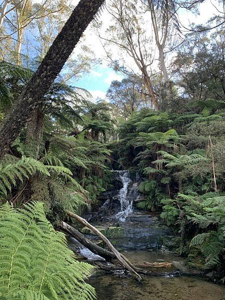 11. 美麗的綠洲之景Leura Cascades.JPG