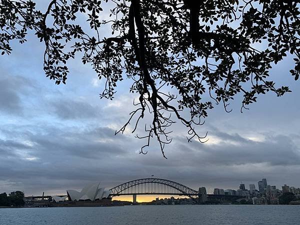 57. 雨中的雪梨大橋與歌劇院.JPG