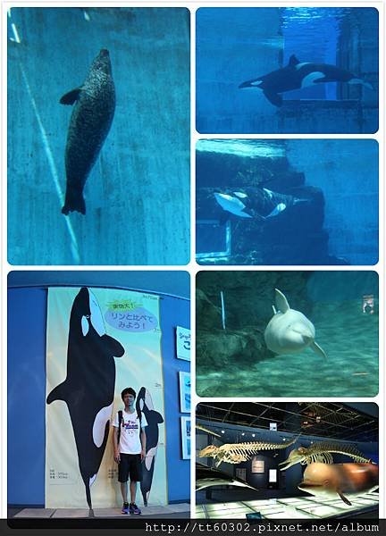 水族館1.jpg