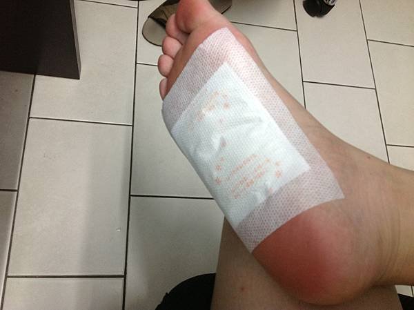 照片 (2)