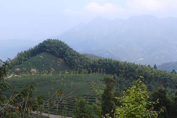 快活臨眺志騰山及鳳凰山