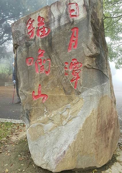 1554907449128.jpg
