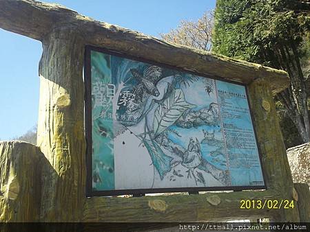 100_9266.JPG