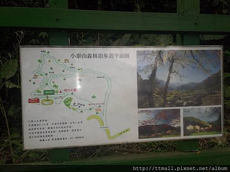 棲蘭森林遊樂