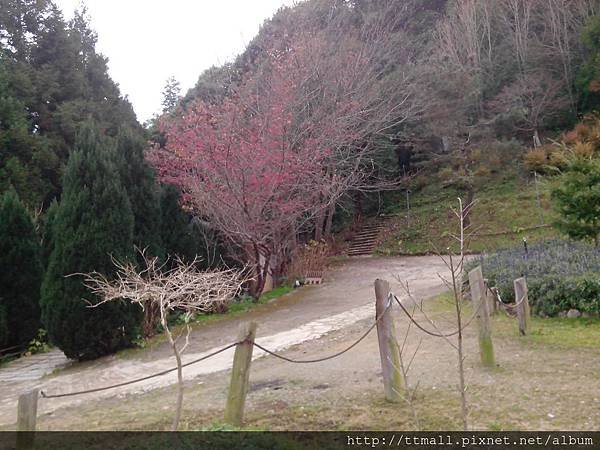 雪霸休閒農場34.jpg