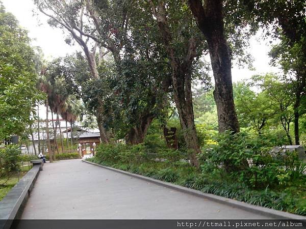 台北植物園09.jpg