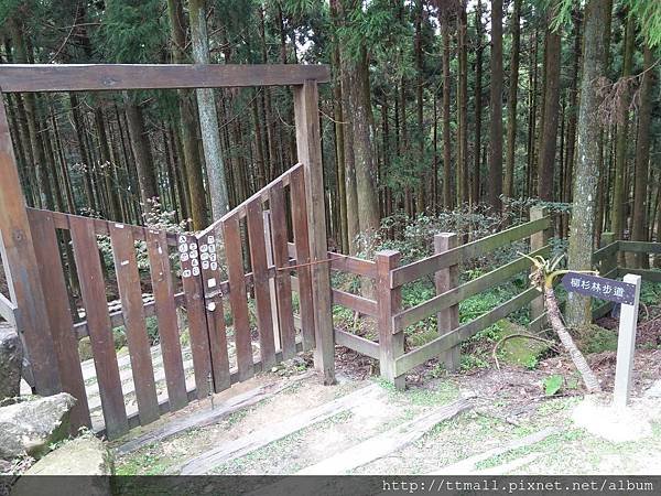 熊空茶園15.jpg