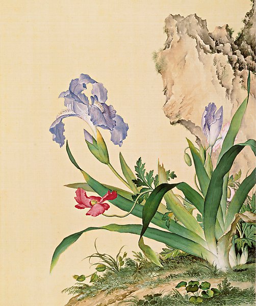 清_郎世寧_仙萼長春圖冊_石竹圖.jpg
