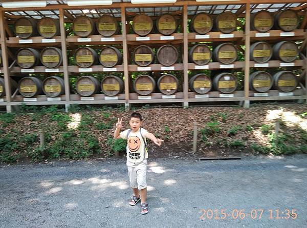 IMG_20150607_113500.jpg