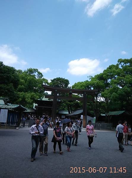 IMG_20150607_114539.jpg