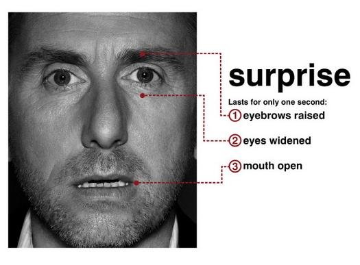 surprise.JPG