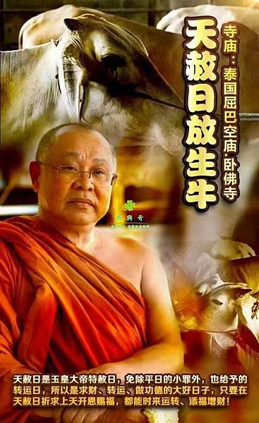 泰興奇 泰國在地 泰國翻譯 天赦日放生牛功德 臥佛寺 跑廟 