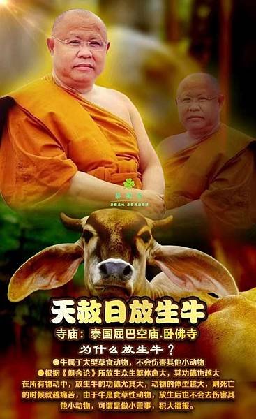 泰興奇 泰國在地 泰國翻譯 天赦日放生牛功德 臥佛寺 跑廟 