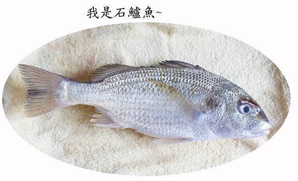 石鱸魚