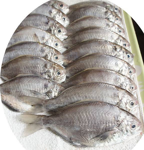 肉鯽1