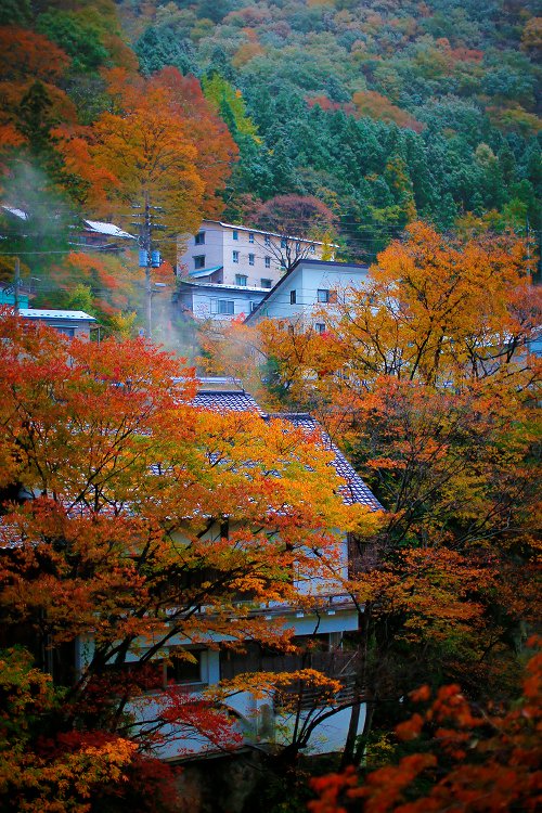 _36P2628.jpg