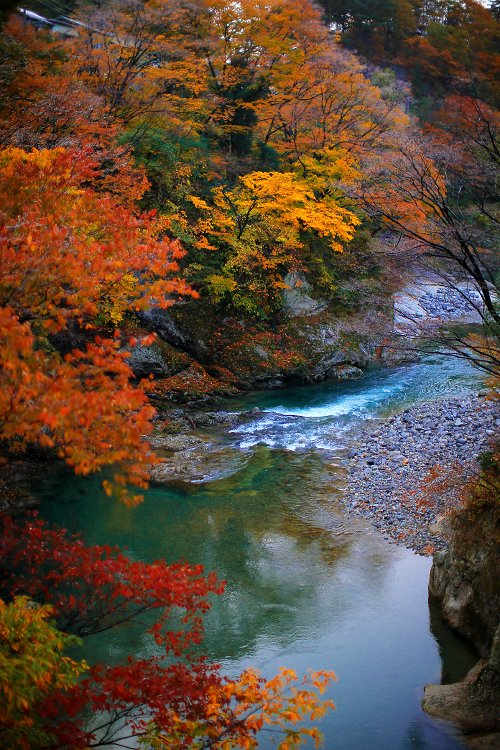 _36P2639.jpg
