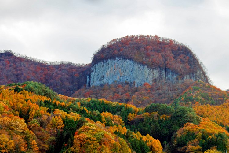 _MG_6021.jpg