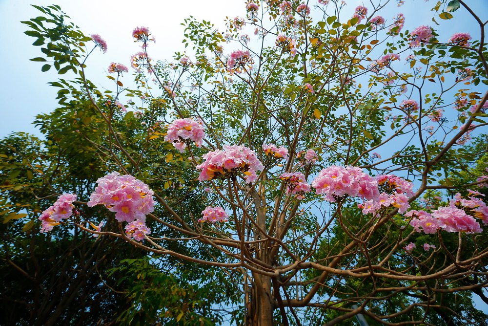 _36P0933.jpg