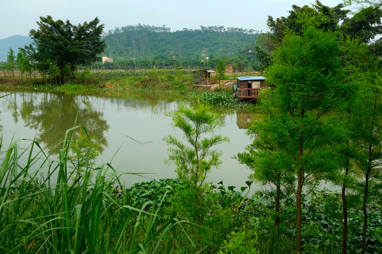 _36P2696.jpg