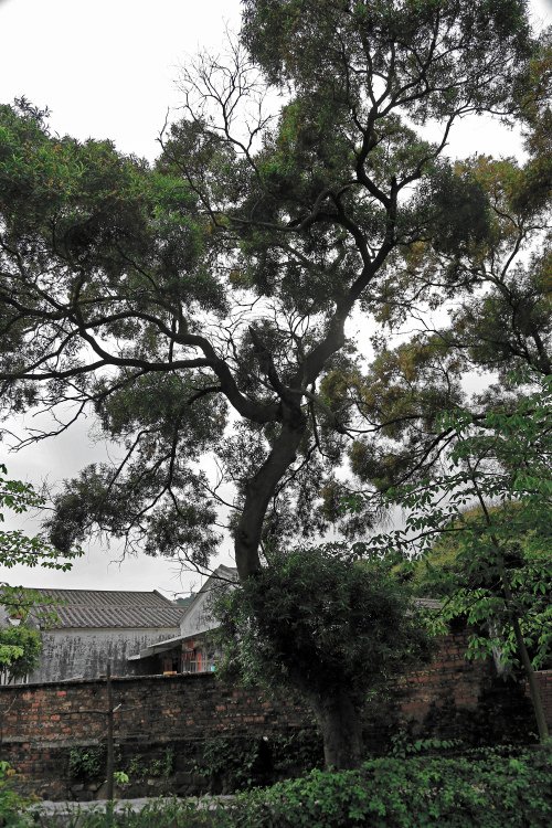 _36P2812.jpg