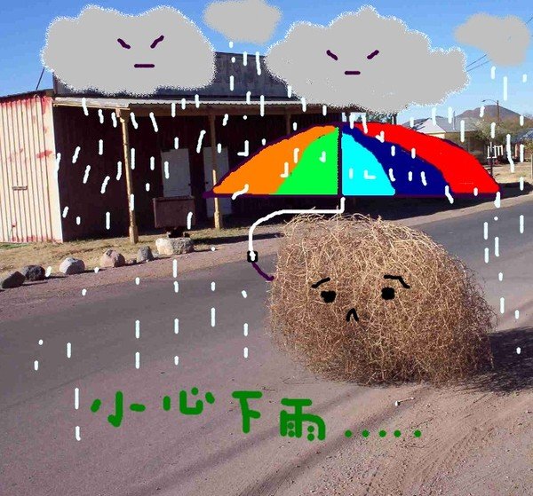 rain.jpg