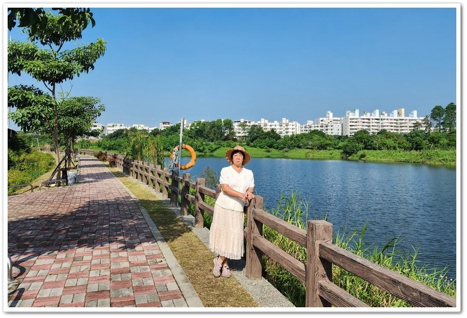 嘉義《金興社區》台灣欒樹─漫步在河堤的秋日限定美景