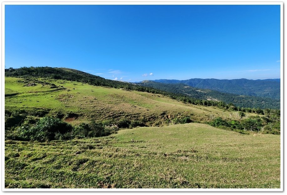 宜蘭與新北交界的《桃源谷青青草原》坐擁360度的山海無敵美景