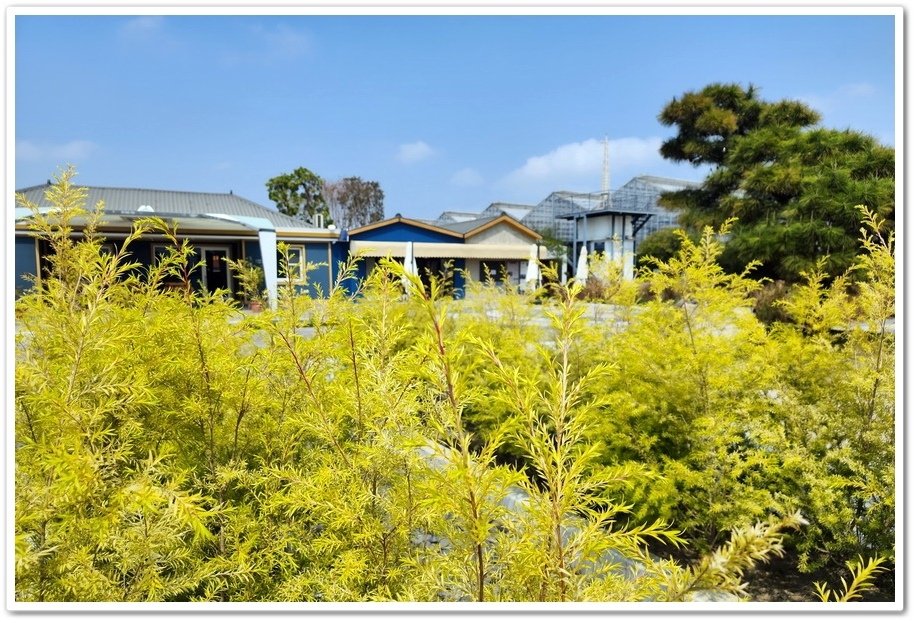 雲林縣土庫《土庫驛可可莊園》來一場歐風小鎮的巧克力味覺之旅