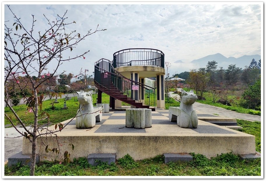 南投鹿谷鄉《小半天石馬公園》欣賞1年開2次花的河津櫻