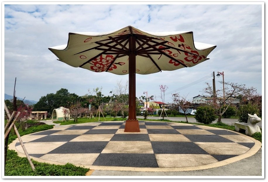 南投鹿谷鄉《小半天石馬公園》欣賞1年開2次花的河津櫻