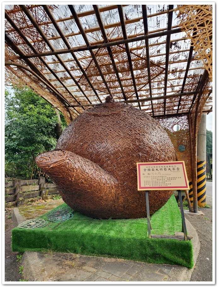 南投鹿谷鄉《小半天石馬公園》欣賞1年開2次花的河津櫻