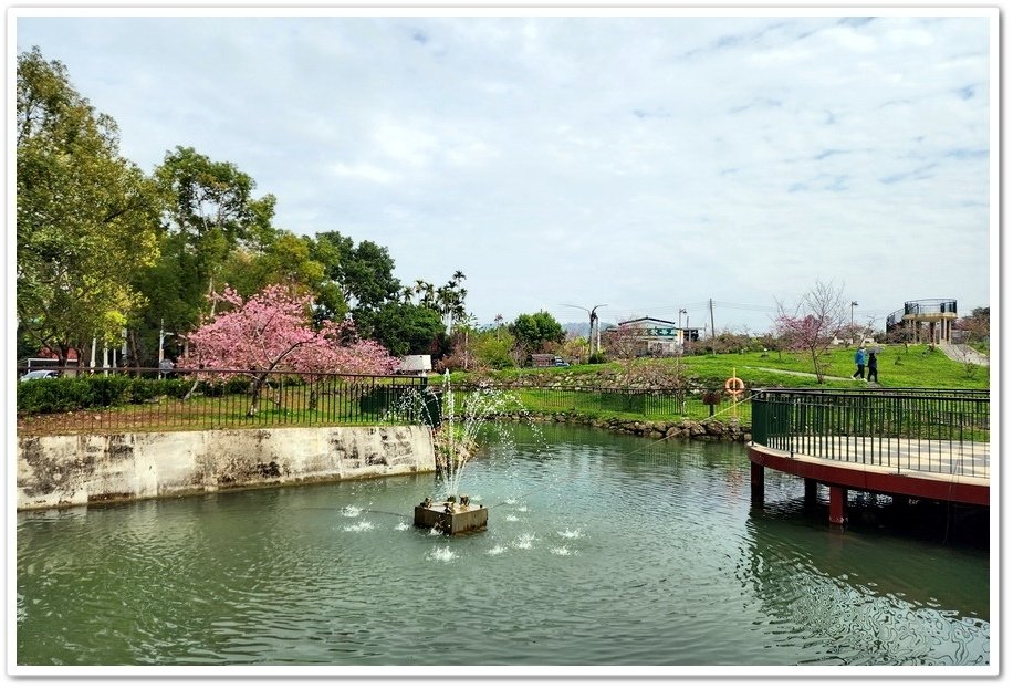 南投鹿谷鄉《小半天石馬公園》欣賞1年開2次花的河津櫻