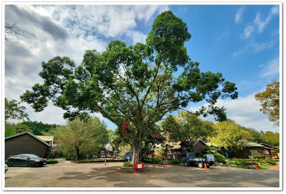 南投《牛耳町石雕公園》牛耳藝術渡假村『亞洲首座素人雕塑林園』