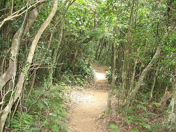 里龍山