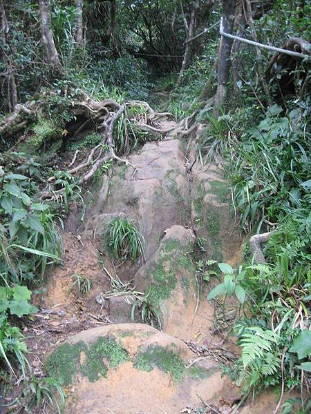 里龍山