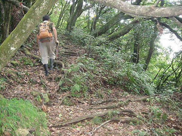 金露天宮、七星南峰、凱達格蘭遺址