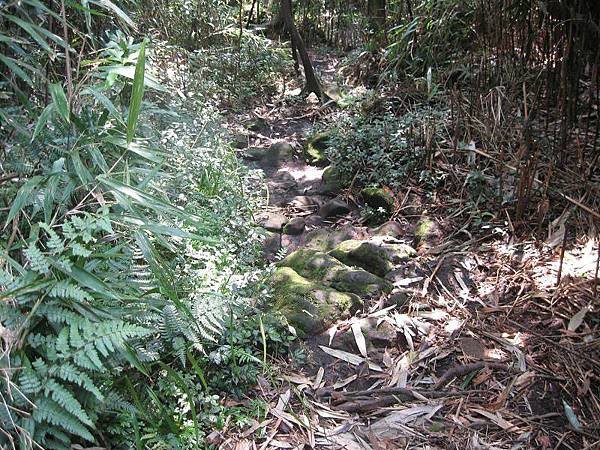 金露天宮、七星南峰、凱達格蘭遺址