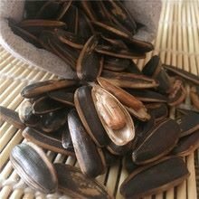 桂圓紅棗風味葵瓜子-1.jpg