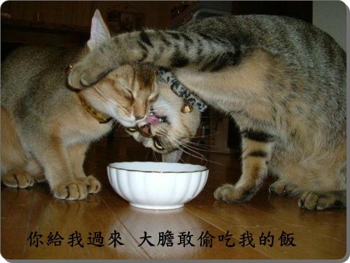 笑~1.jpg
