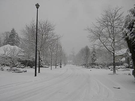 DSCN8932.JPG