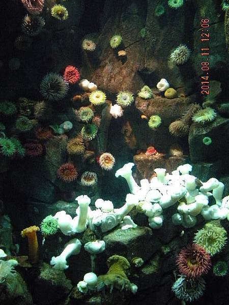 DSCN0580.JPG