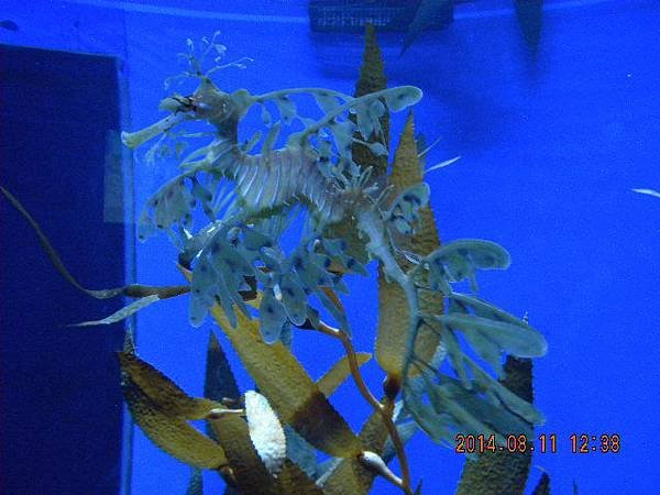 DSCN0689.JPG