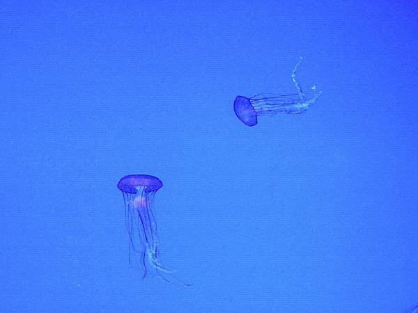 DSCN0696.JPG