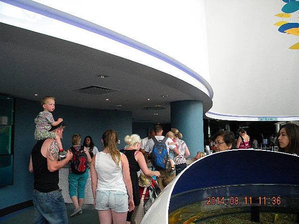 DSCN0507.JPG
