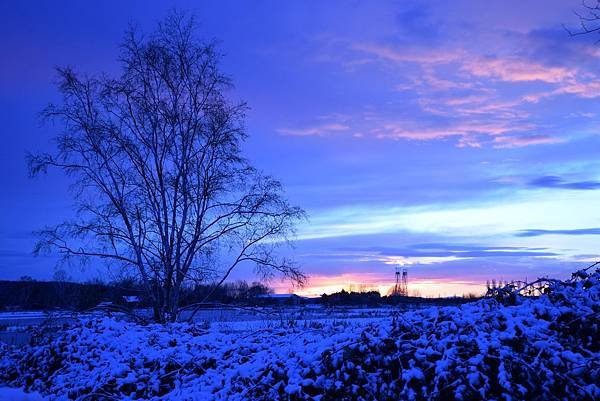 DSC_2583.JPG