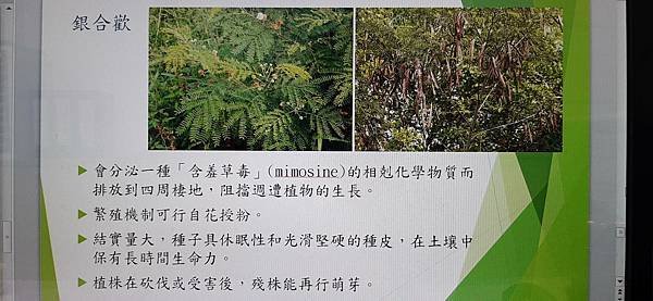 113年3月14日研討會