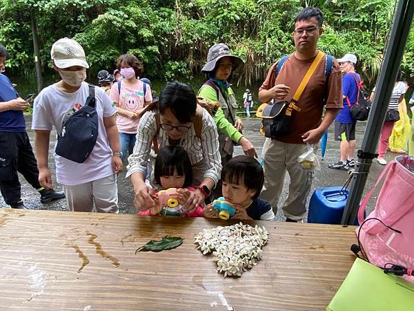 113年4月28日桐花小旅行