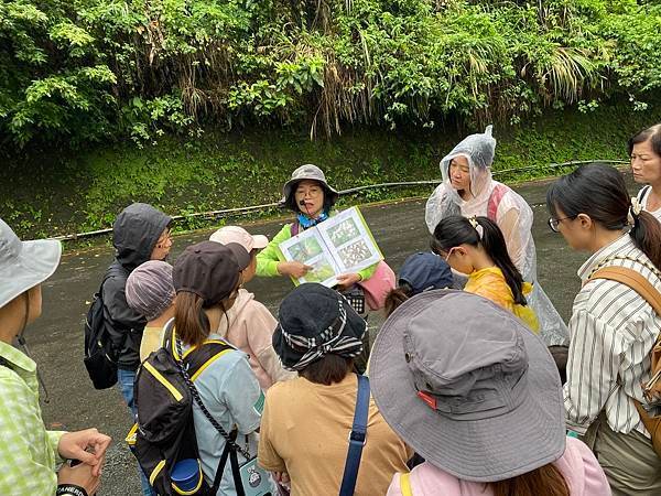 113年4月28日桐花小旅行
